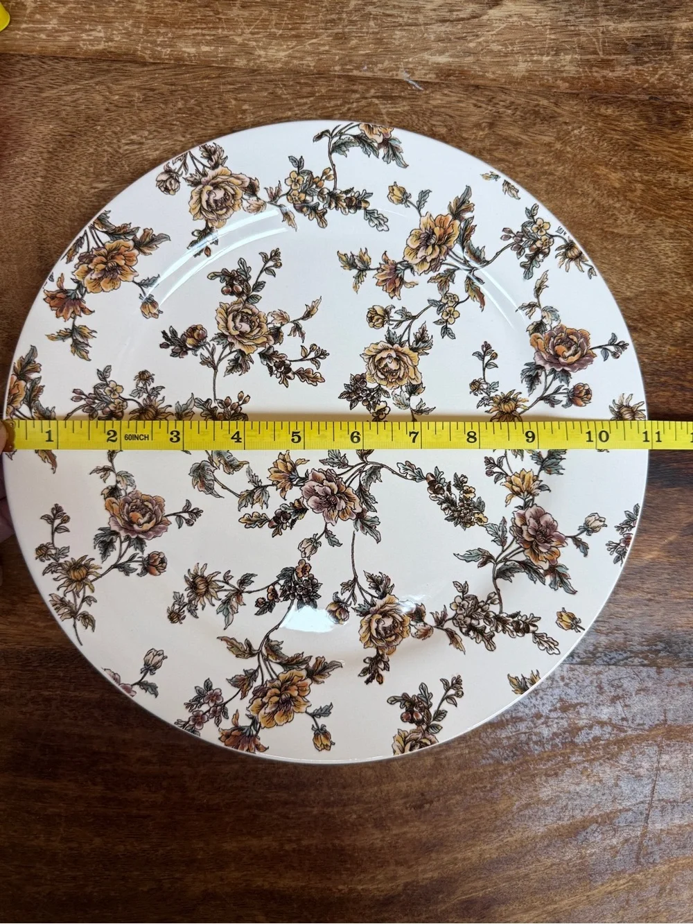 Sur La Table Cream Dinner Plates with Brown Floral Vine Pattern - Set of 3